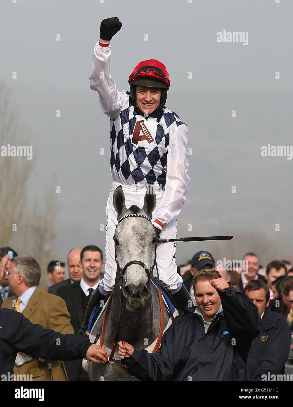 Hürde auf Simonsig während des Ladies Day beim Cheltenham Festival. Stockfoto