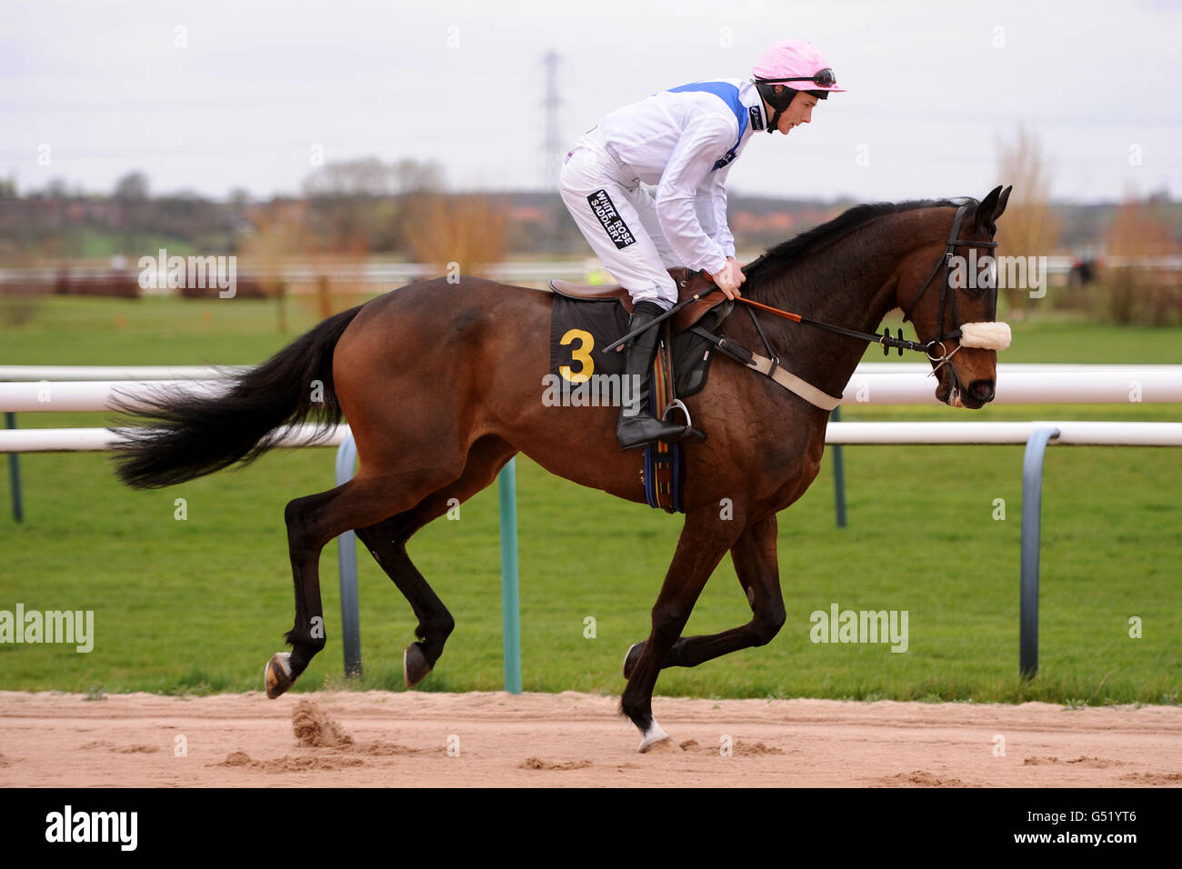 Nacht in Mailand, geritten von Jockey James Reveley geht zu Post in der Weatherbys Bloodstock Versicherung Handicap Chase Stockfoto