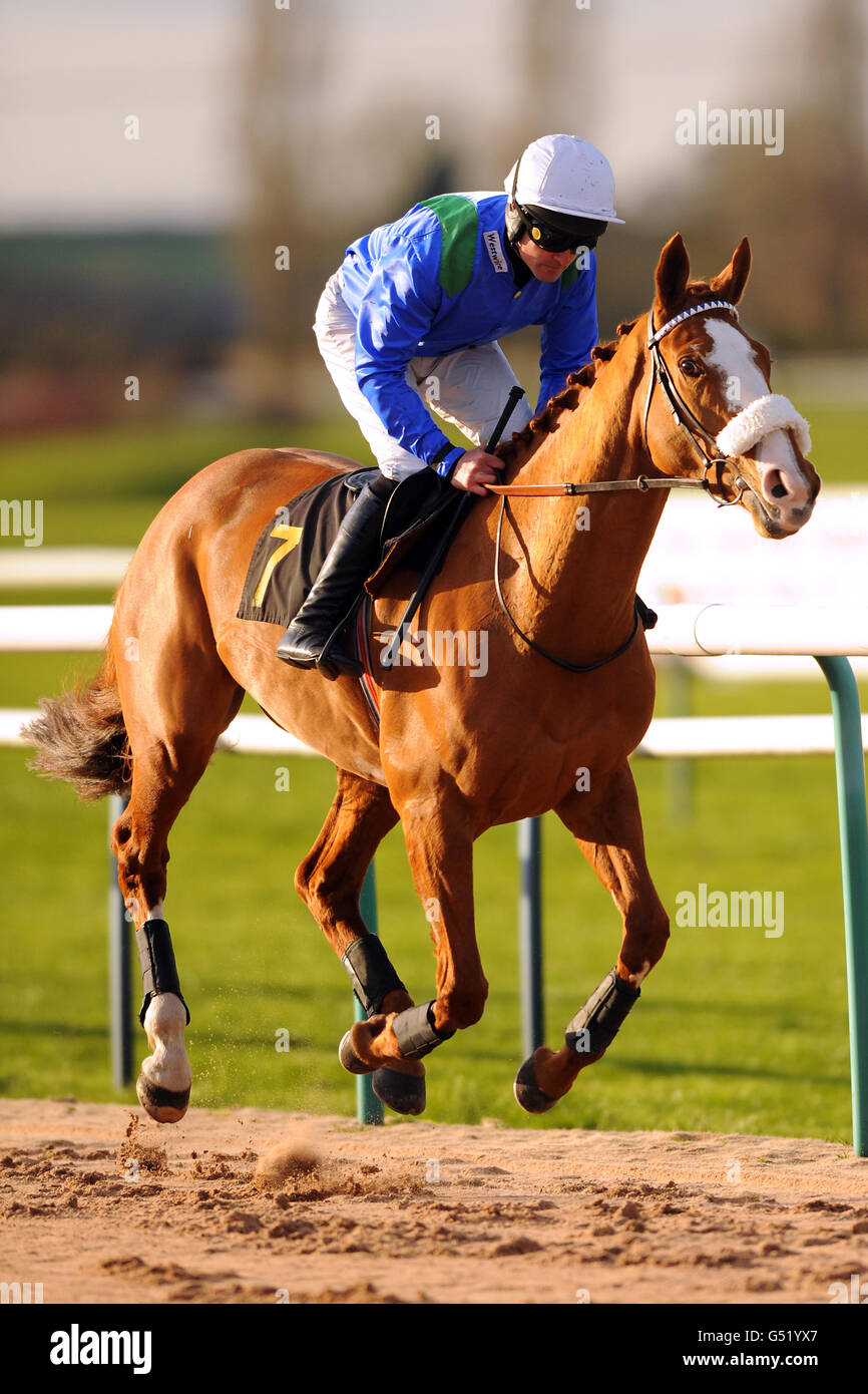 Bach Street Girl geritten von Jockey Tom Siddall geht zu Post in the Dine in the Pantry Handicap Hürde Stockfoto