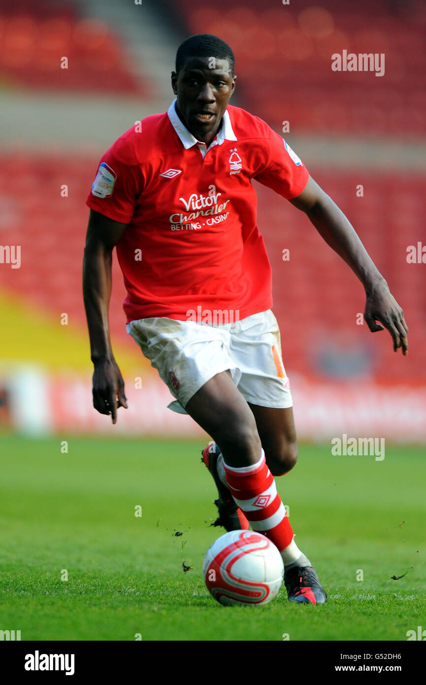 Fußball - npower Football League Championship - Nottingham Forest / Brighton & Hove Albion - City Ground. Guy Moussi, Nottingham Forest Stockfoto