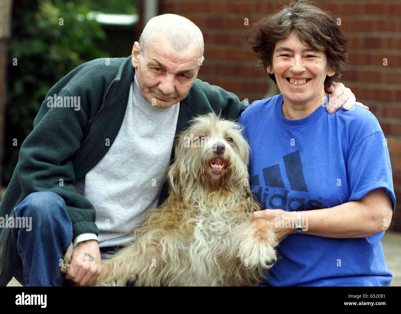 Lassie Dog Stockfotos Und Bilder Kaufen Alamy