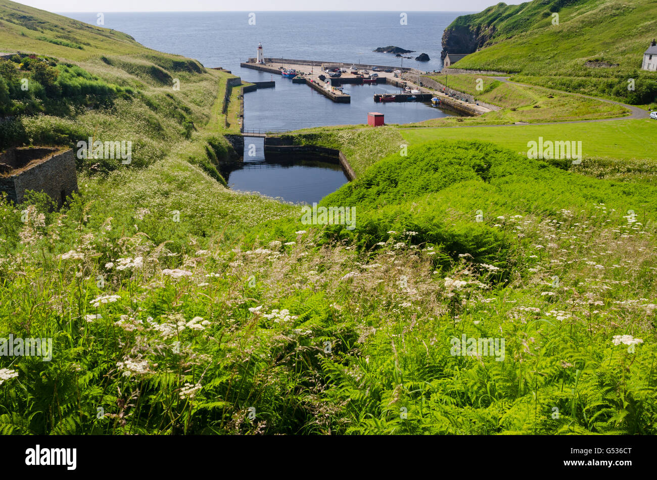 Großbritannien, Schottland, Highlands, Lybster, Lybster von Caithness in Nordschottland, ehemalige Fischerhafen Stockfoto