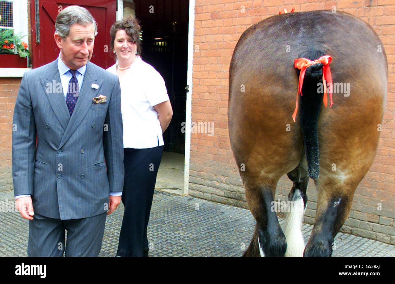 Der Prinz von Wales (L) zieht ein Gesicht, während er vorsichtig am „Duke“ eines Clydesdale-Pferdes vorbeigeht, während er das Capel Manor College in London besucht. Prinz Charles eröffnete den fertiggestellten Pavillon der Herzogin von Devonshire an Londons einziger Fachhochschule für Gartenbau. Stockfoto