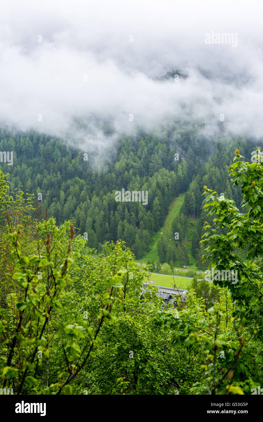 Wolke mit den immergrünen Nadelbäumen bewaldeten Berg Stockfoto