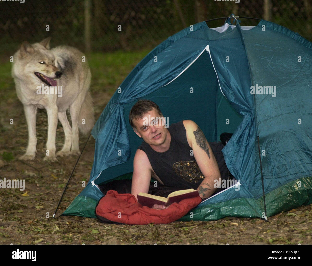 Nchstenliebe Wolf camping Stockfotografie - Alamy