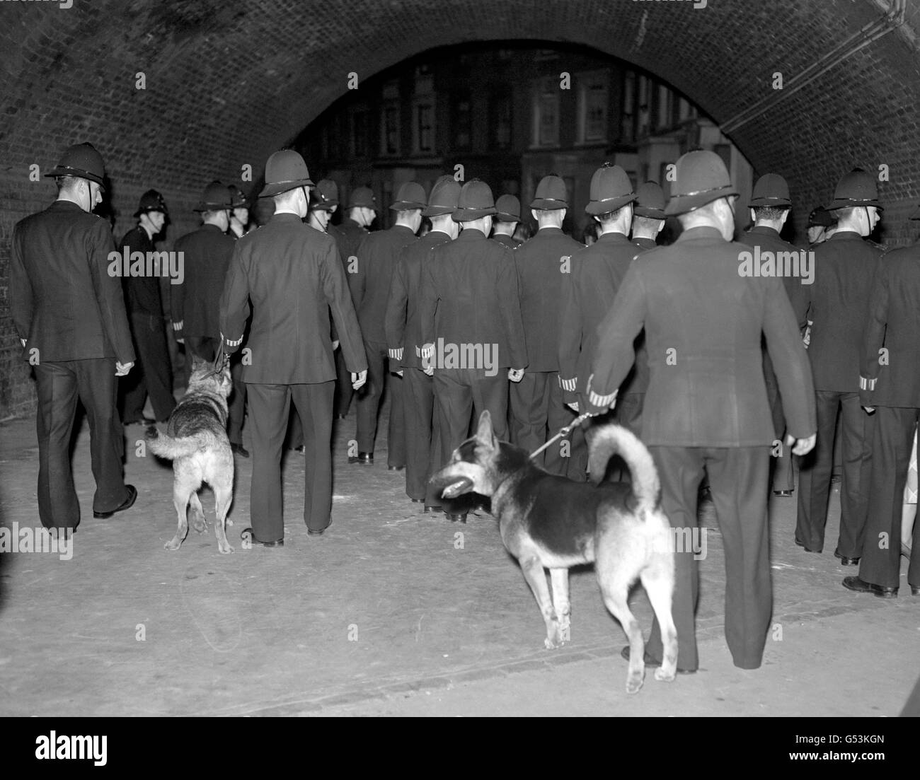 Polizeibeamte mit Hunden an einer Straße im Londoner Stadtteil Notting Hill während erneuter Rassenausschreitungen zwischen Weißen und Schwarzen, die in der Vornacht ausbrachen. Stockfoto