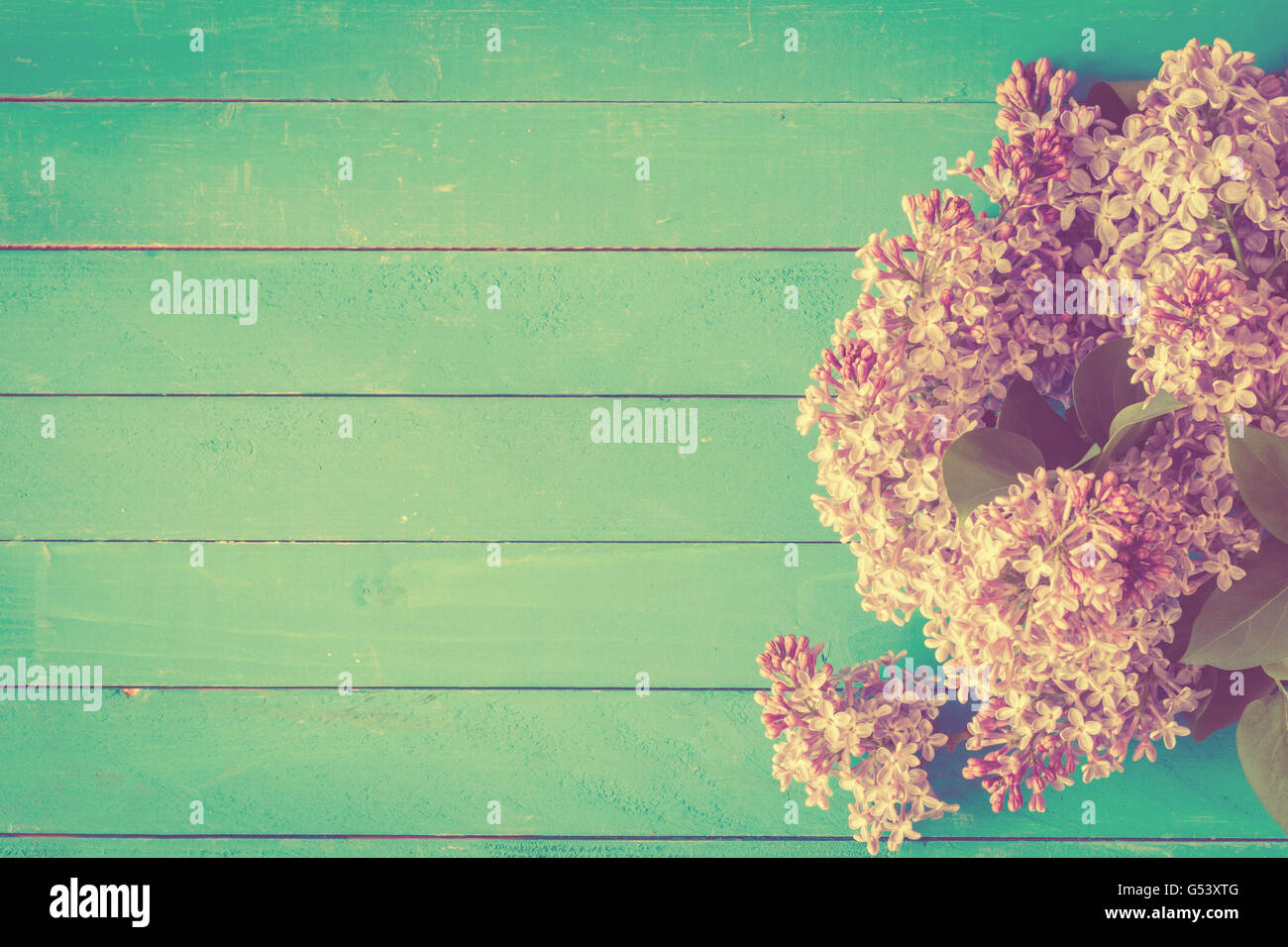 Lila Blüten auf Vintage Türkis aus Holz-Hintergrund mit textfreiraum für Text. Post-Karte, Geschenkkarte, Grußkartenvorlage Stockfoto