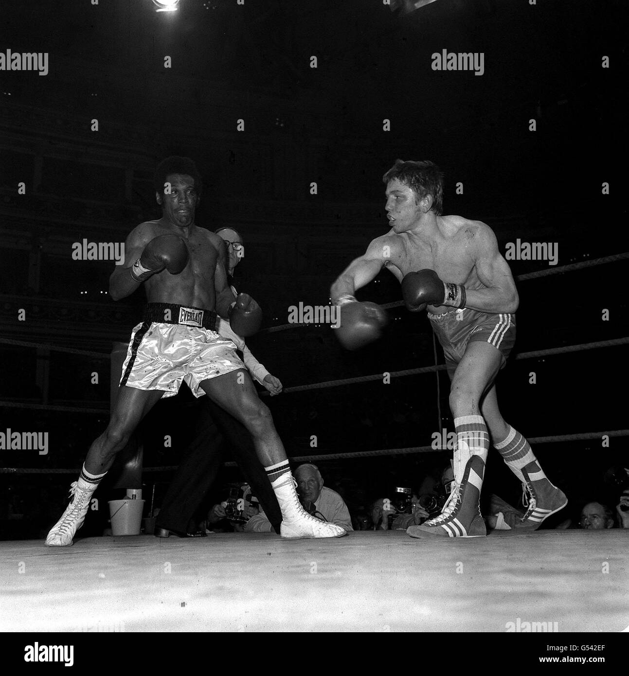 Boxer Dave Green (aka Dave 'Boy Green), Europameister im Leichtgewichtsgewichtskampf, im Einsatz gegen Roy Johnson aus Bermuda, während ihres Boxkampfes in der Royal Albert Hall. Stockfoto