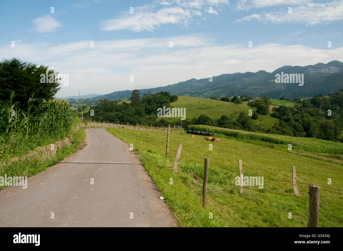 Seite der Straße und Landschaft. Asturien, Spanien. Stockfoto