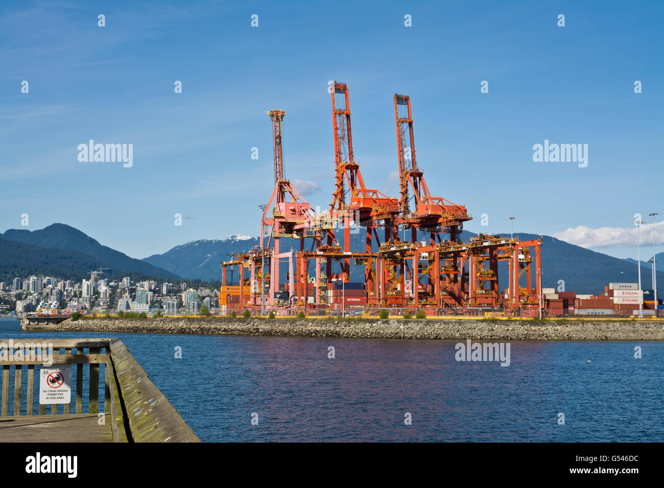 Laderampen und Krane für den Containertransport im Hafen von Vancouver. Containerterminal im Hafen von Vancouver. Stockfoto