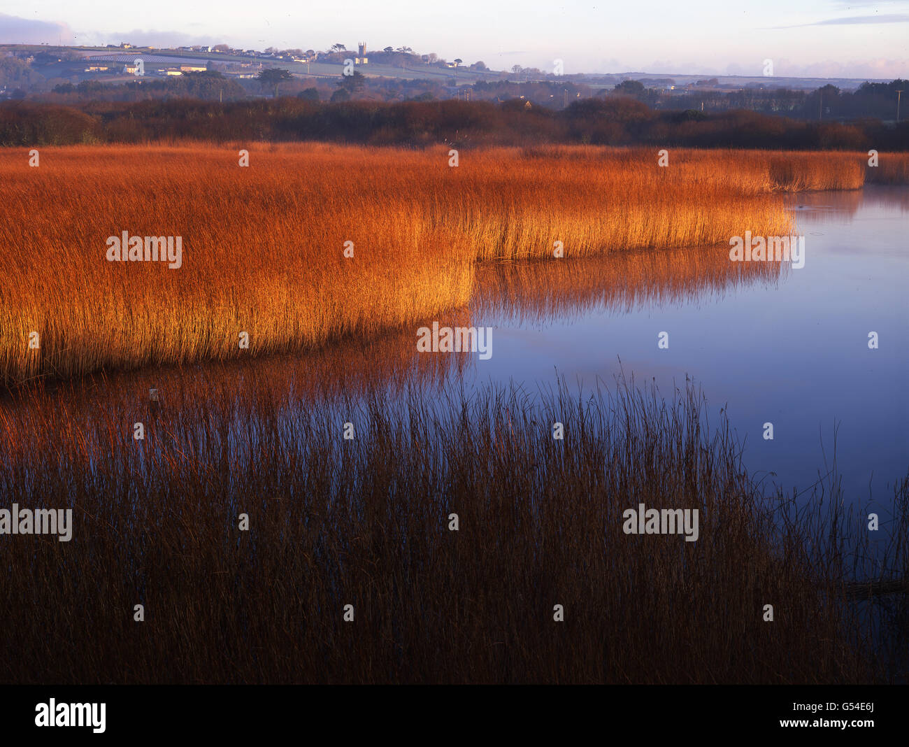 Abendlicht Marazion Marshes Stockfoto