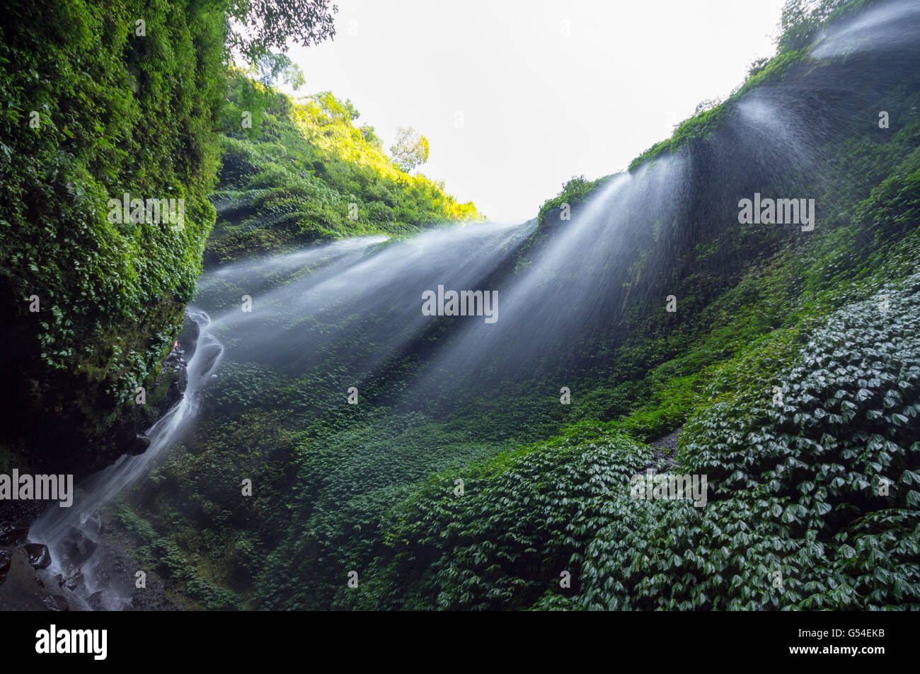 Indonesien, Java Timur, Pasuruan, Air Terjun Madakaripura, Wasserfall Stockfoto