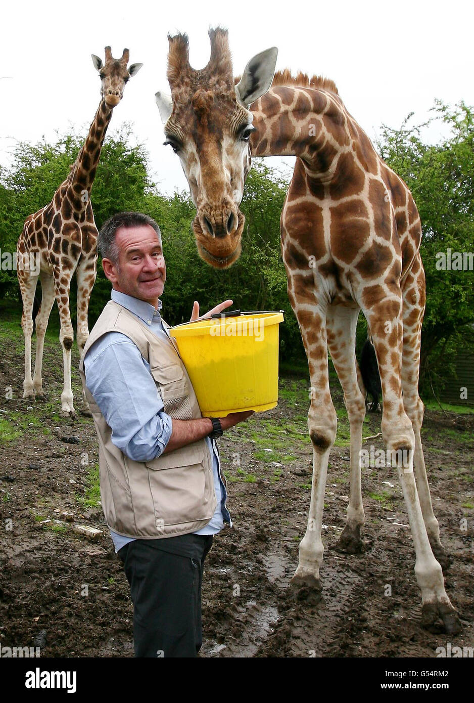 FOTO. Wildtierexperte und Zoologe Nigel Marven füttert Giraffen bei der offiziellen Eröffnung des Livingstone Cottage Rural Retreat, im Port Lympne Wild Animal Park in der Nähe von Ashford, Kent. Stockfoto