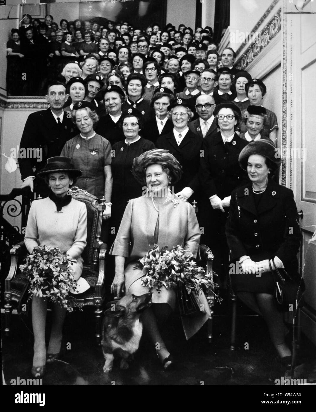 *eingescannte Low-Res aus dem Druck, High-Res auf Anfrage erhältlich* die Queen Mother mit mehr als 100 Mitgliedern des Queen's Institute of District Nursing, der sie im St. James's Palace lange Dienstabzeichen überreichte. Mit ihr als Herzogin von Gloucester, der Präsidentin des Instituts, Frau James Bull, Vorsitzende und Blackie, dem Corgi der Königin-Mutter. Stockfoto