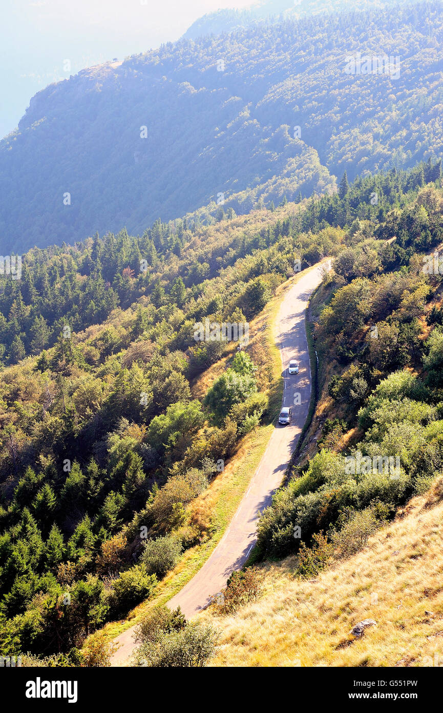 Bergstraße in den Cevennen-Nationalpark. Stockfoto