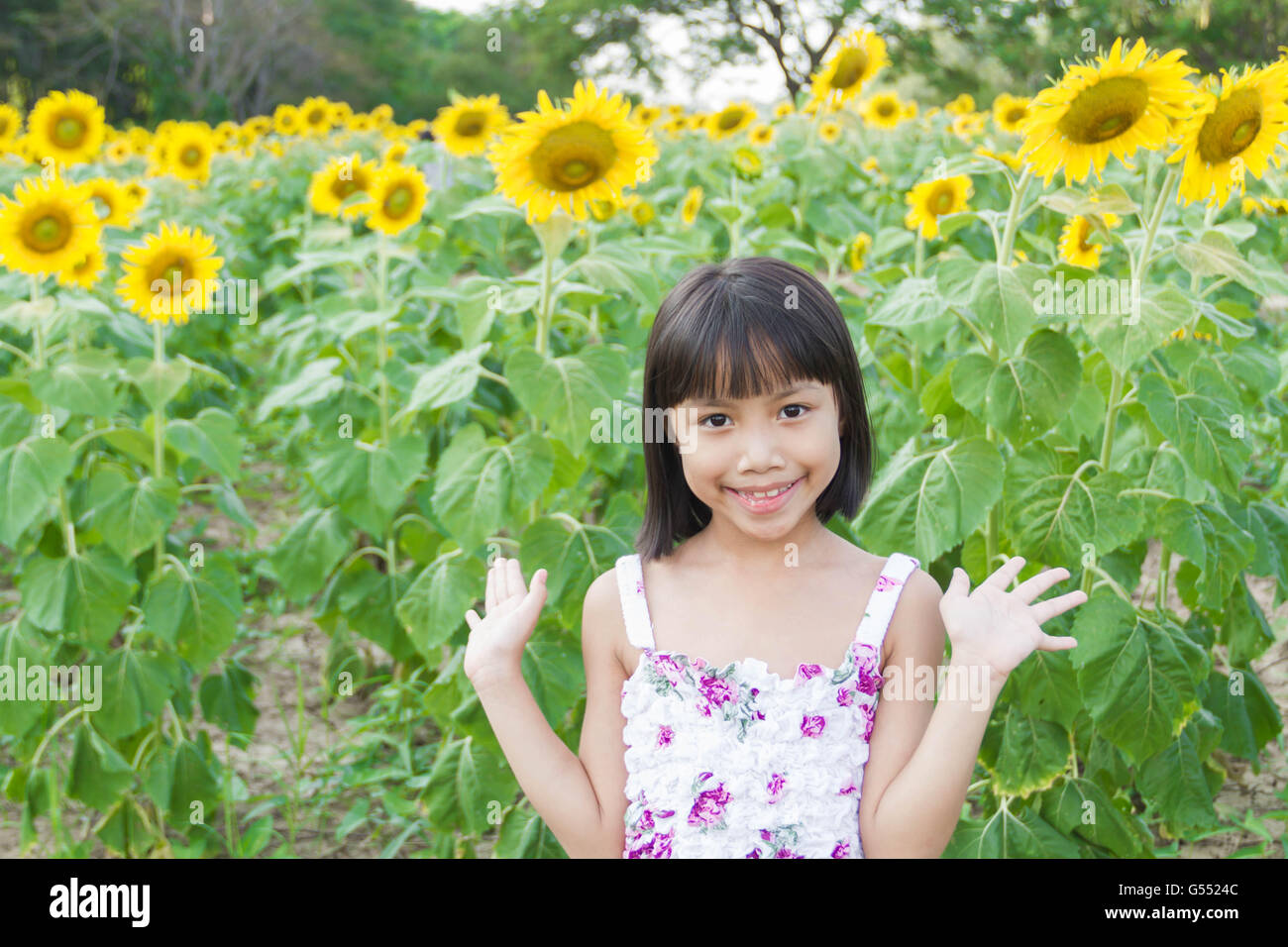Schöne Mädchen und Sonnenblume Stockfoto