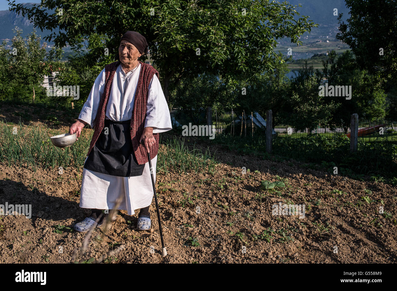 Eine alte Frauen traditionell bewirtschaften gekleidet, das Land in der Nähe der Stadt Prozor Bosnien-Erzegovina Europa. Stockfoto