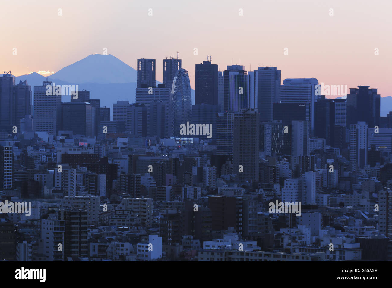 Blick auf Mount Fuji und Stadtbild, Tokyo, Japan Stockfoto