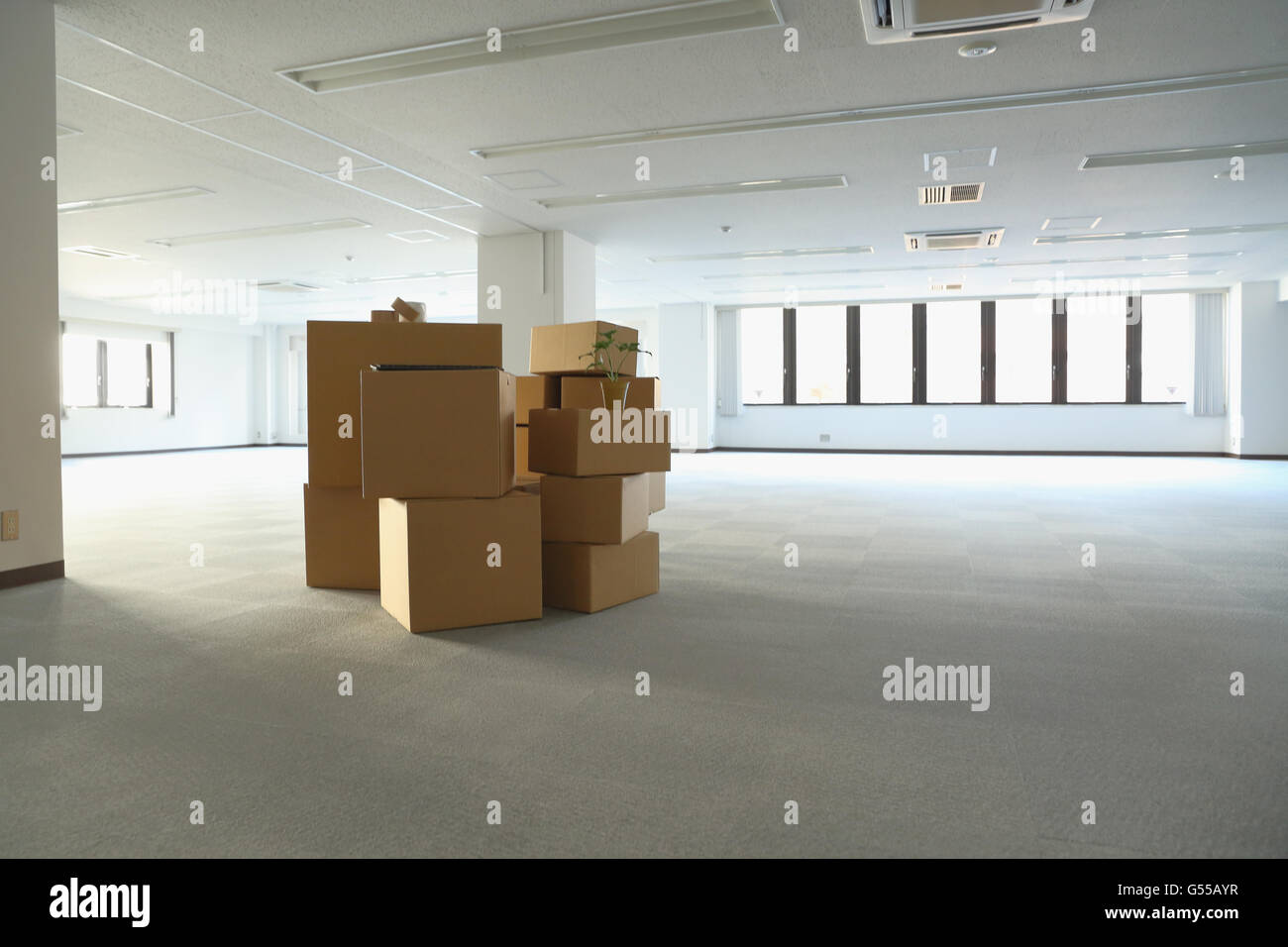 Boxen in ein leeres Büro Stockfoto