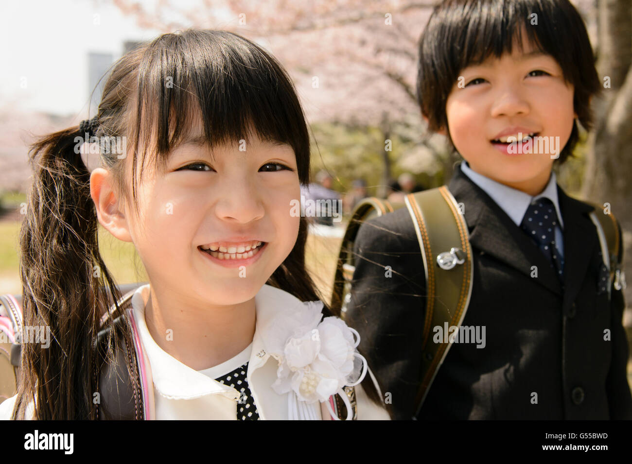 Japanische Grundschüler und Kirschblüten Stockfoto