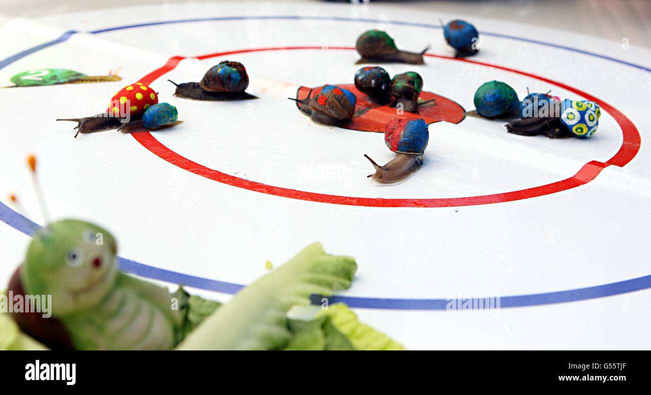 Vauxhall Art Car Boot Messe Stockfoto