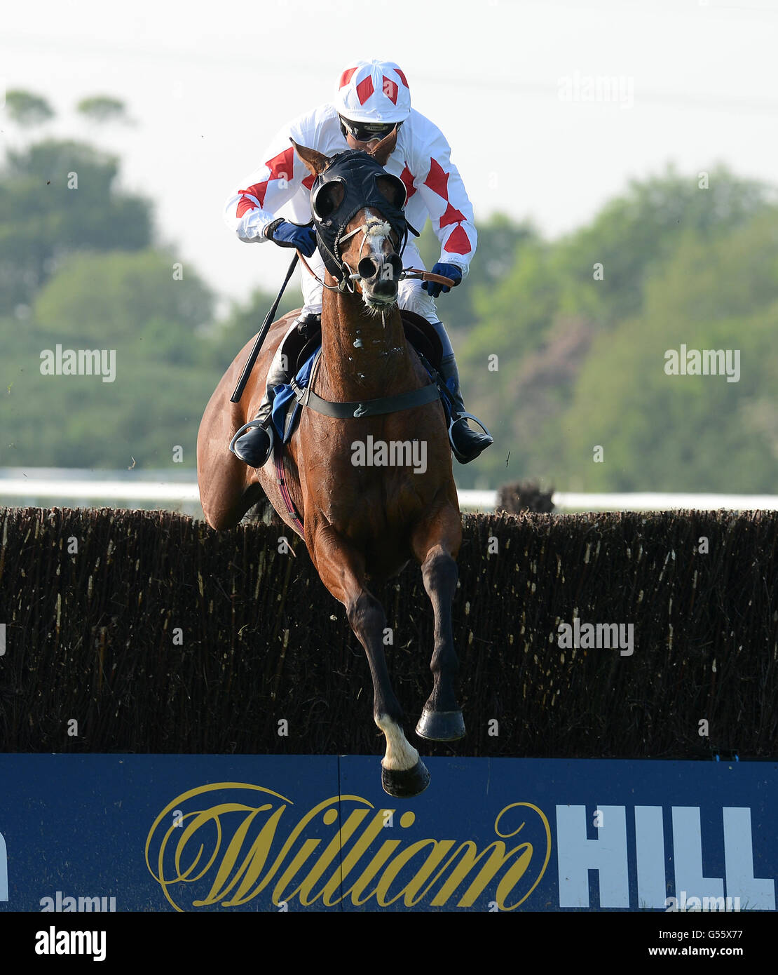 Oscar der Mythos von Phillip York Gewinner der geritten Paul Rackham Champion Novices' Hunters' Steeple Chase Stockfoto