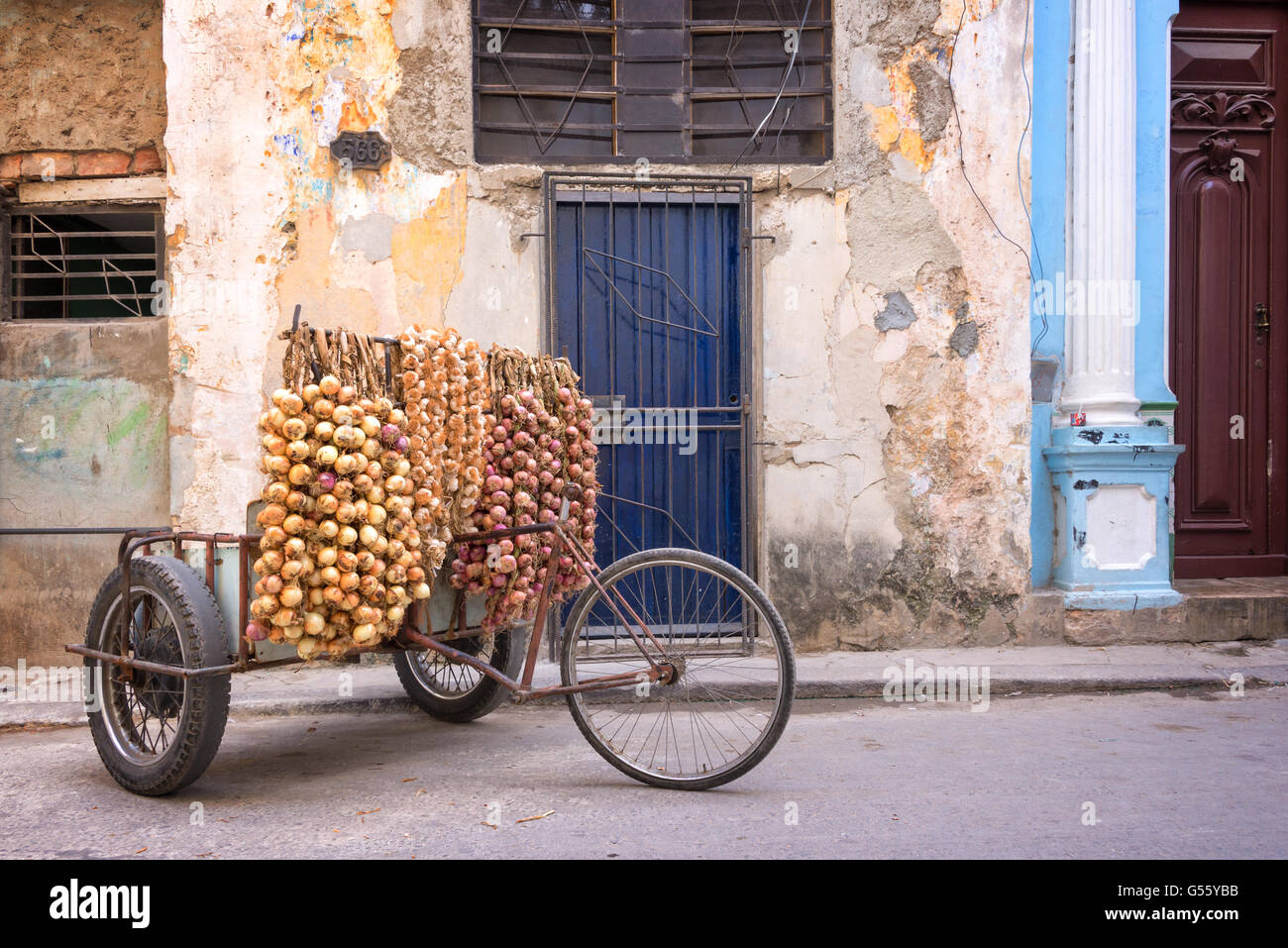 Zwiebeln-Verkäufer in einer Straße von Alt-Havanna, Kuba Stockfoto