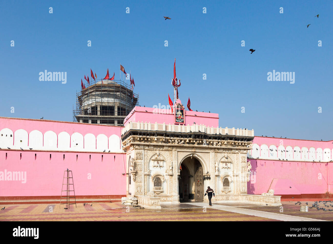 Tample von Ratten, Karni Mata Tempel, Hindu-Tempel, Deshnoke, Rajasthan, Indien Stockfoto