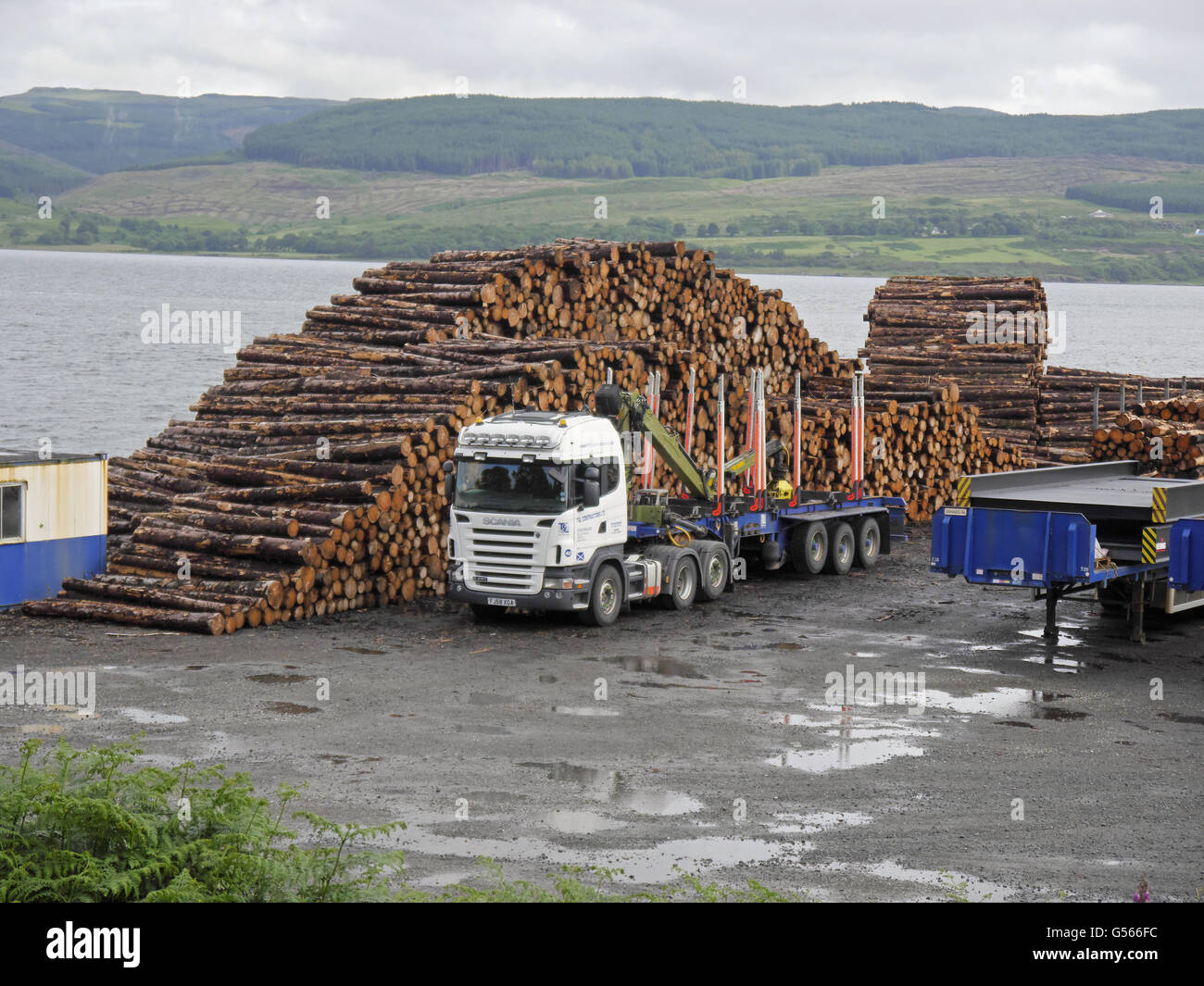 Haufen von Nadelschnittholz und LKW im Hafen von Isle of Mull, Inneren Hebriden, Schottland, Juli Stockfoto