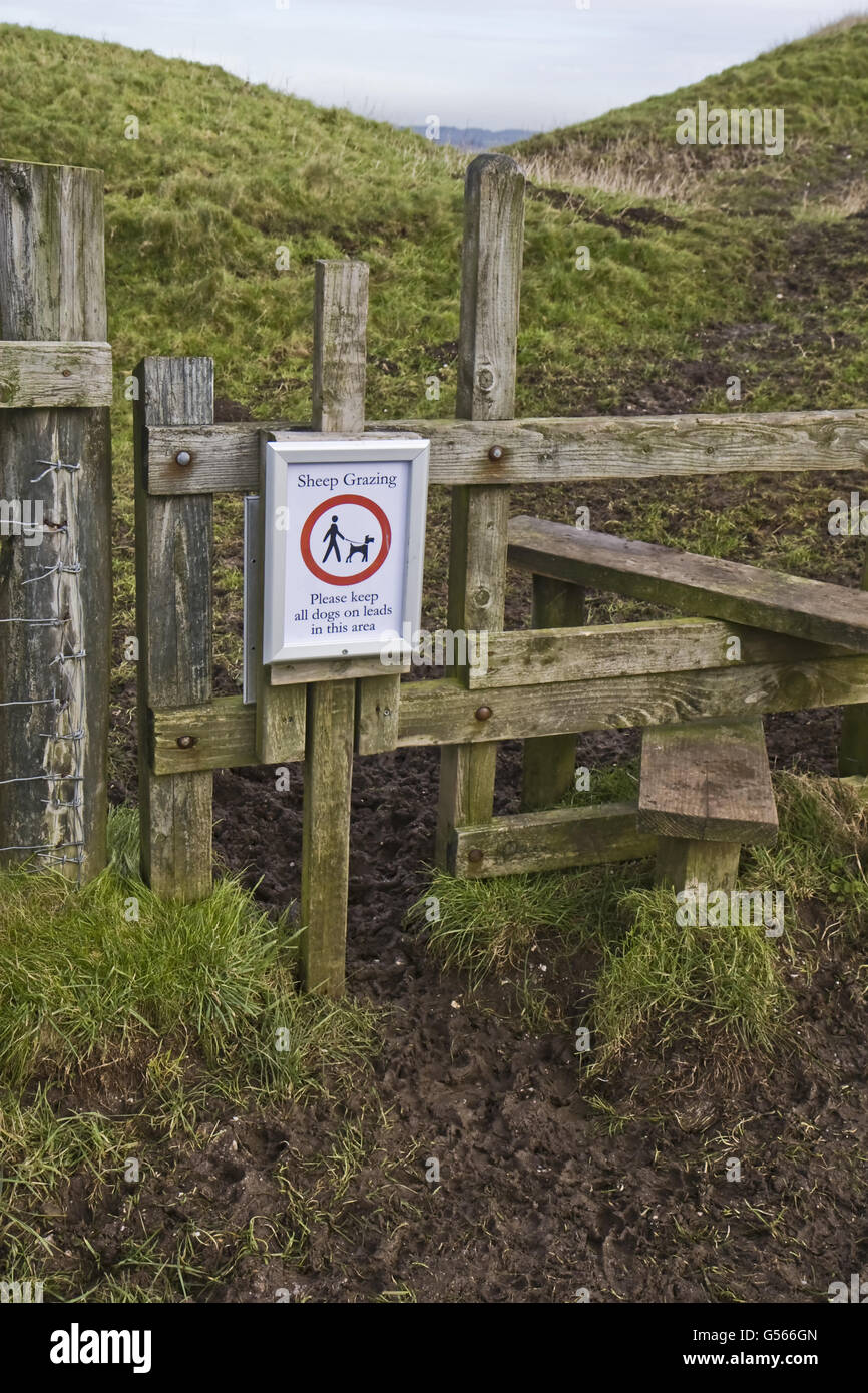 "Schafe weiden lassen, bewahren Sie alle Hunde an der Leine in diesem Bereich" Zeichen auf hölzernen Stil am alten Burgberg, Maiden Castle, Dorchester, Dorset, England, Januar Stockfoto