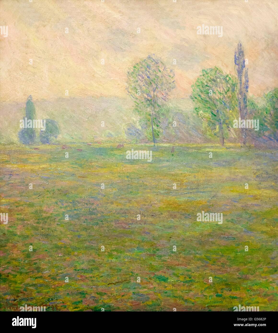 Wiesen in Giverny, Claude Monet, staatliche 1888, Eremitage, Sankt Petersburg, Russland Stockfoto