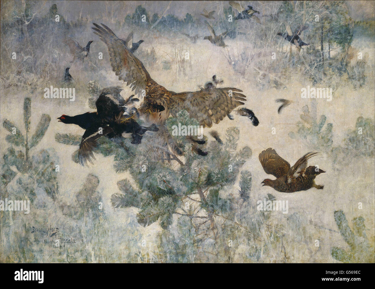 Bruno Liljefors - Hawk und schwarz-Spiel Stockfoto