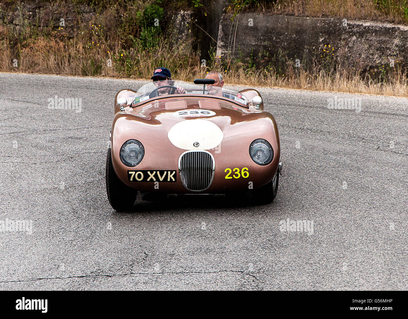 JAGUAR C - Type 1952 Stockfoto