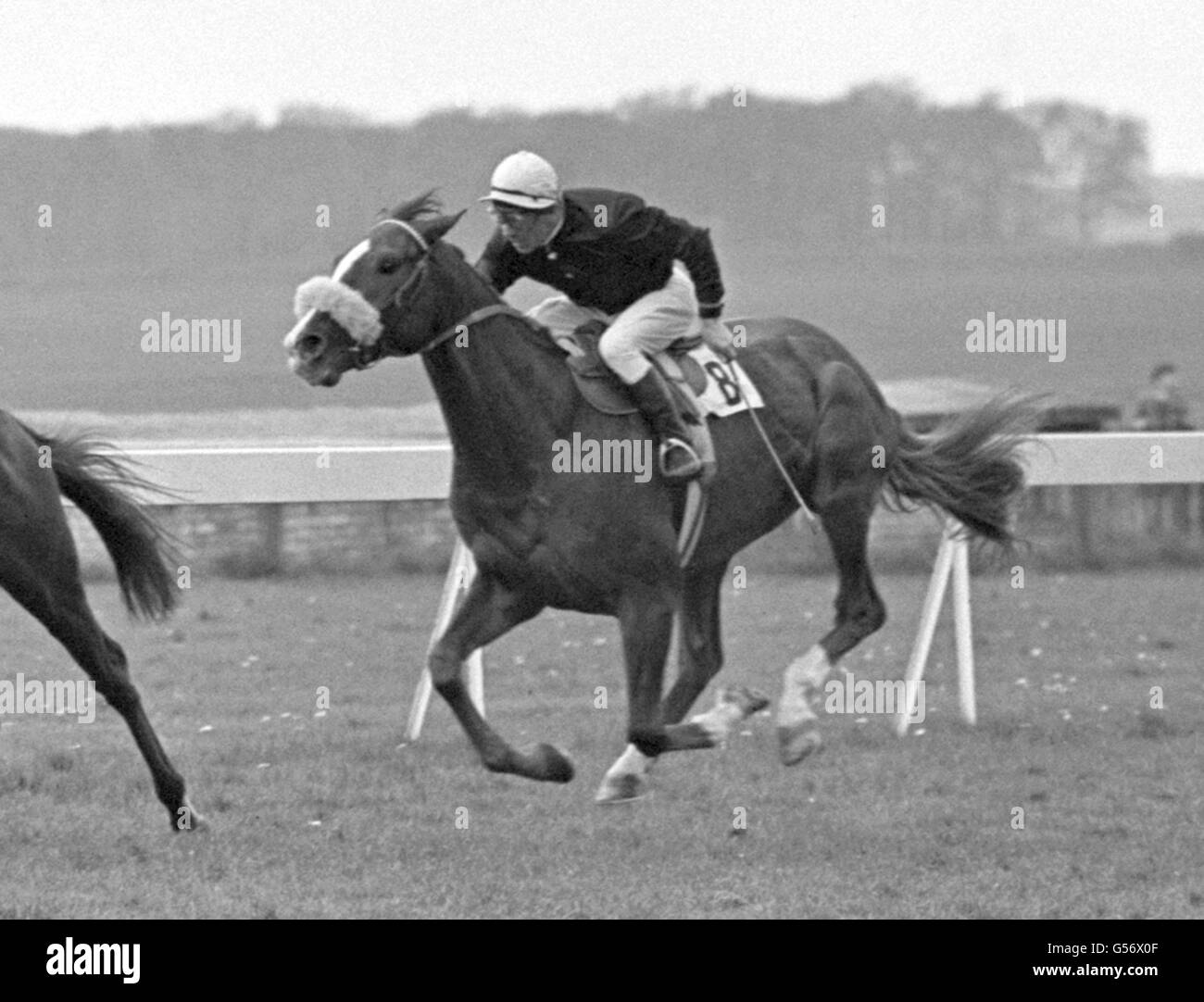 Pferderennen Sie - Wende des Lands Handicap - Newmarket Stockfoto