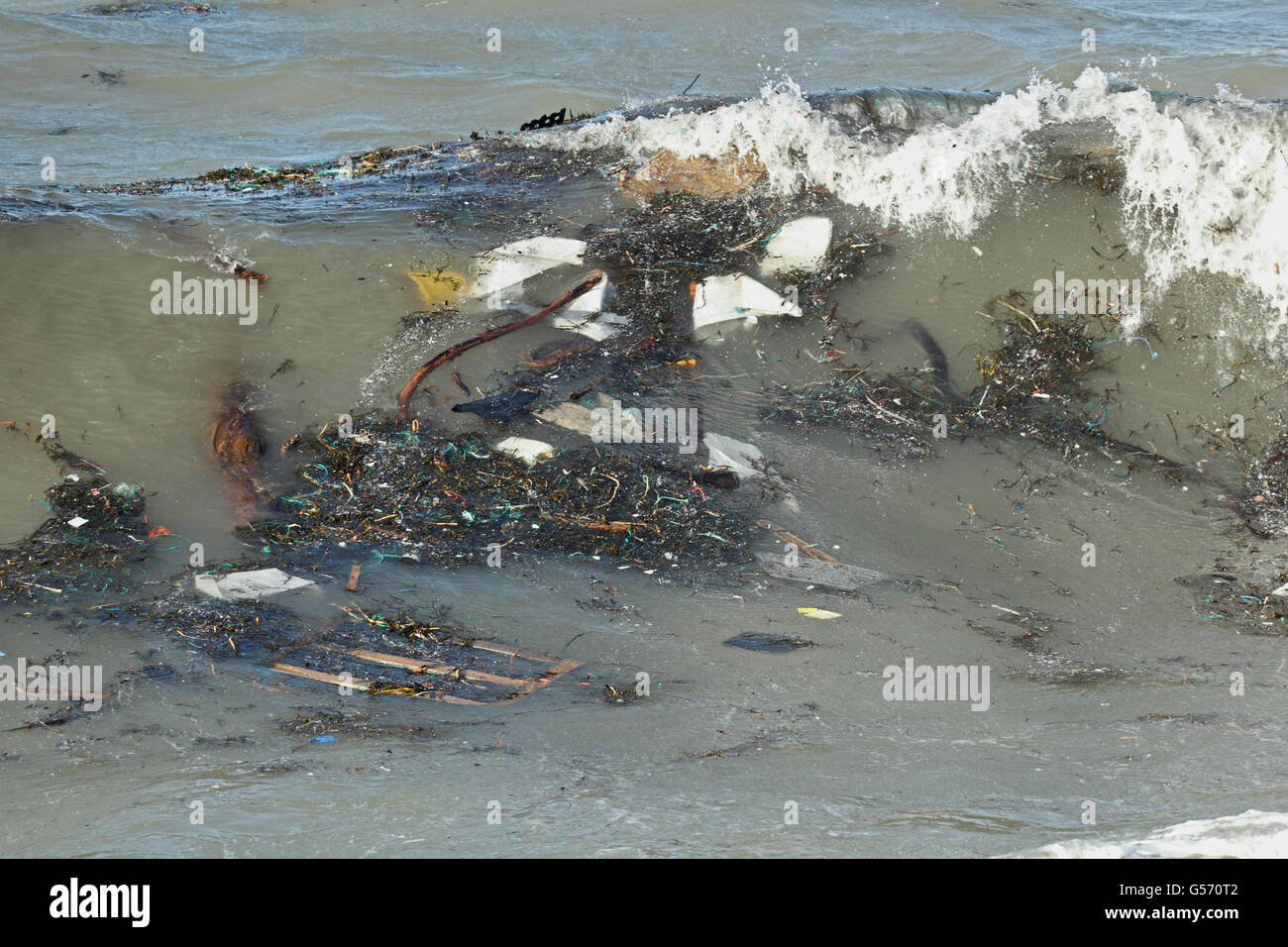 Abfälle im Meer gespült auf Welle, Chesil Beach, Dorset, England, Februar Stockfoto