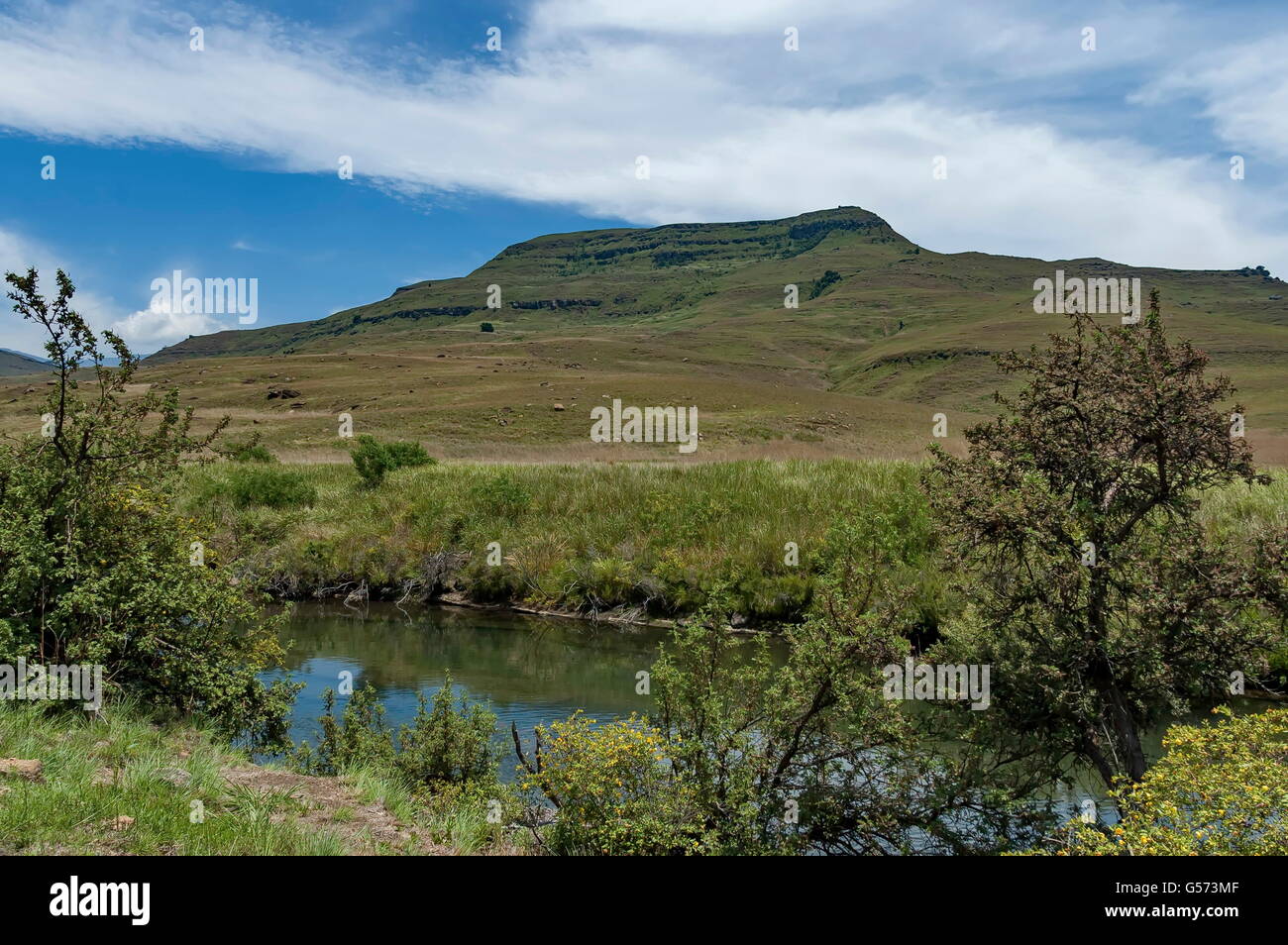 Teich in KwaZulu-Natal Natur reserve, Drakensberge Südafrika Stockfoto