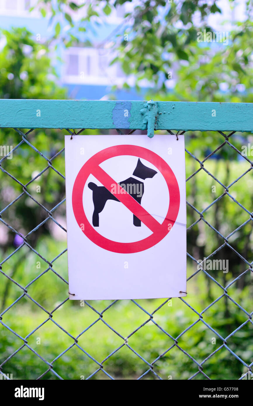 Zeichen verbietet Hund zu Fuß, singen keine Hunde vertikale Position Stockfoto