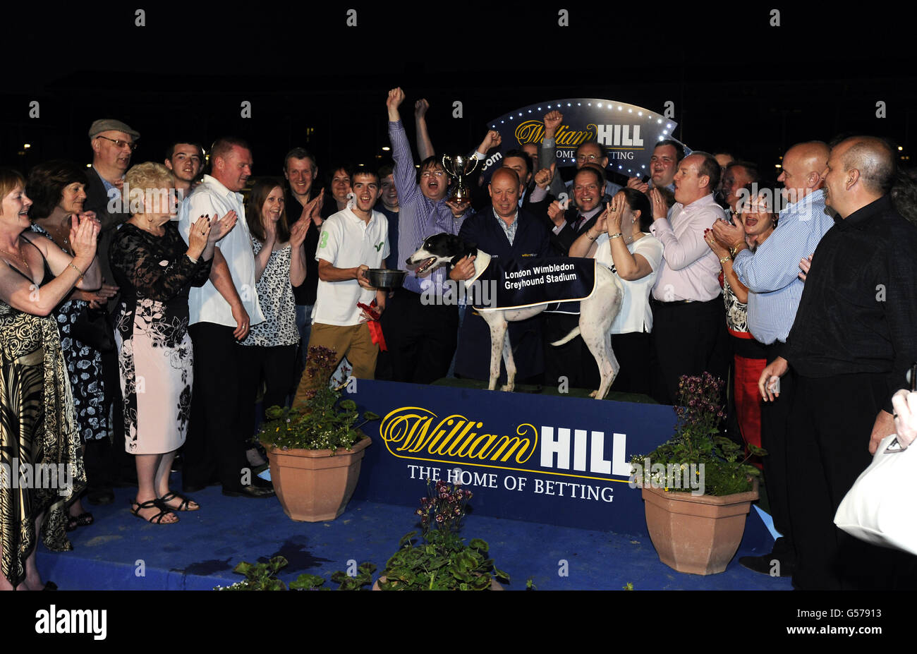 Windhunde - Williamhill.com Greyhound Derby Finale - Wimbledon Greyhound Stadium. Im Wimbledon Greyhound Stadium feiern die Verbindungen eines siegreichen Windhunds Stockfoto