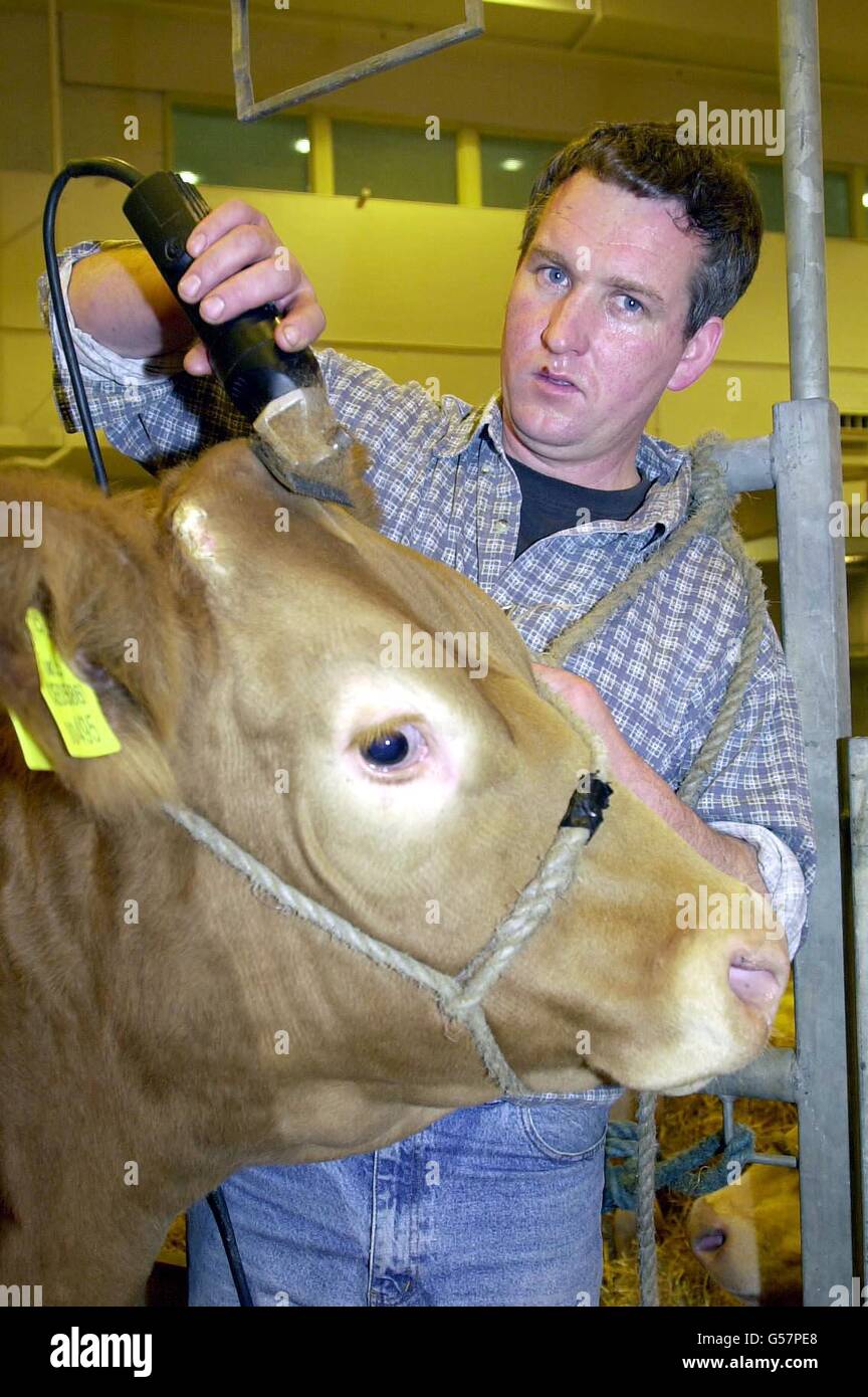 William Owen von Bracich Y Saint Cricceth, Gwynedd, während der Royal Smithfield Show, die von Landwirtschaftsminister Nick Brown am Earls Court in London offiziell eröffnet wurde. Stockfoto