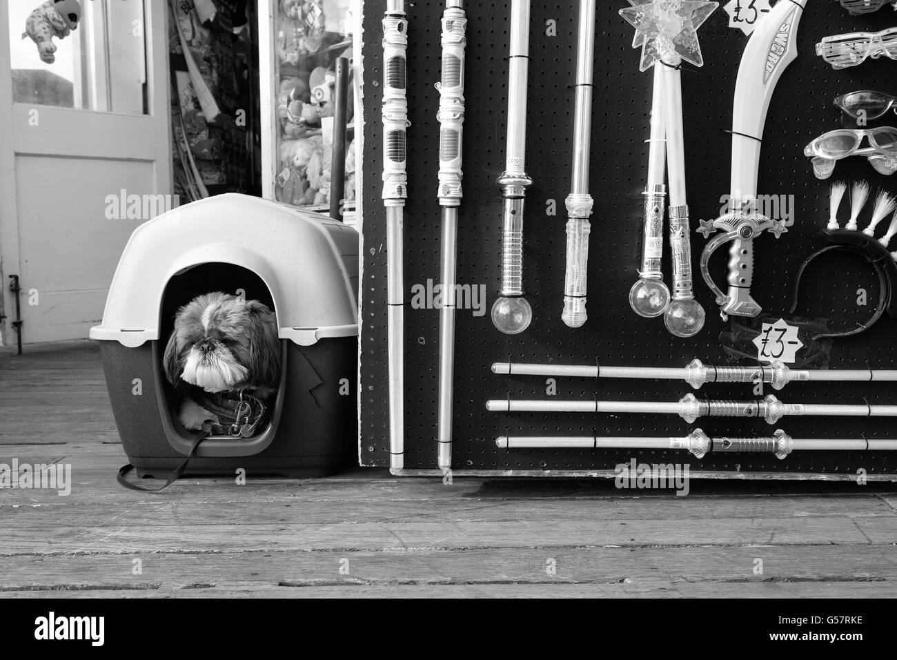 Hund im Zwinger Blackpool Pier neben Vorstand Verkauf Säbel Schwerter und Lichtschwerter Stockfoto