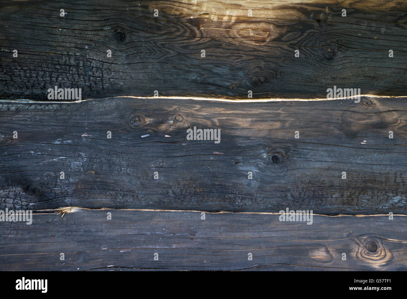 Closeup Textur des verbrannten Holzstamm. Hintergrund Stockfoto