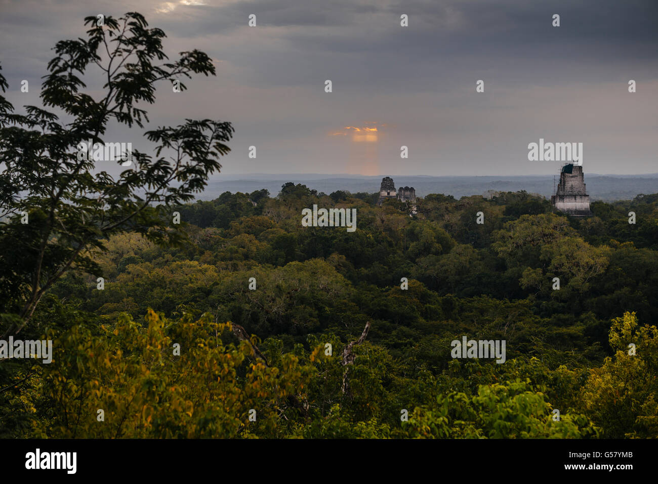 Der Tempel des großen Platzes und dem Tempel 3 erheben sich aus dem Dschungel Baldachin gesehen vom Tempel 4 Guatemalas Maya-Ruinen von Tikal Stockfoto