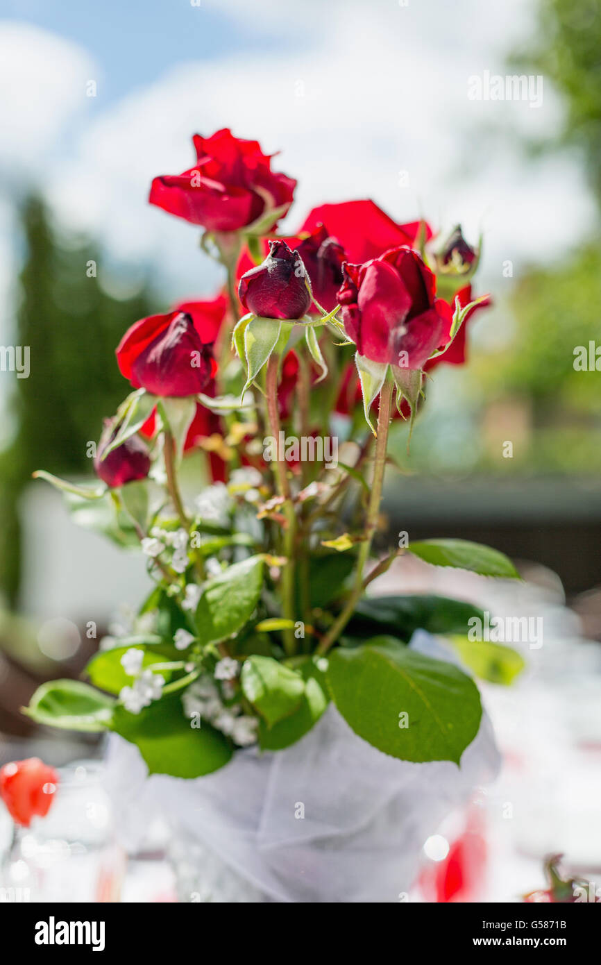 Rose auf einem festlich gedeckten Tisch. Tabelle s im Garten dekoriert. Stockfoto