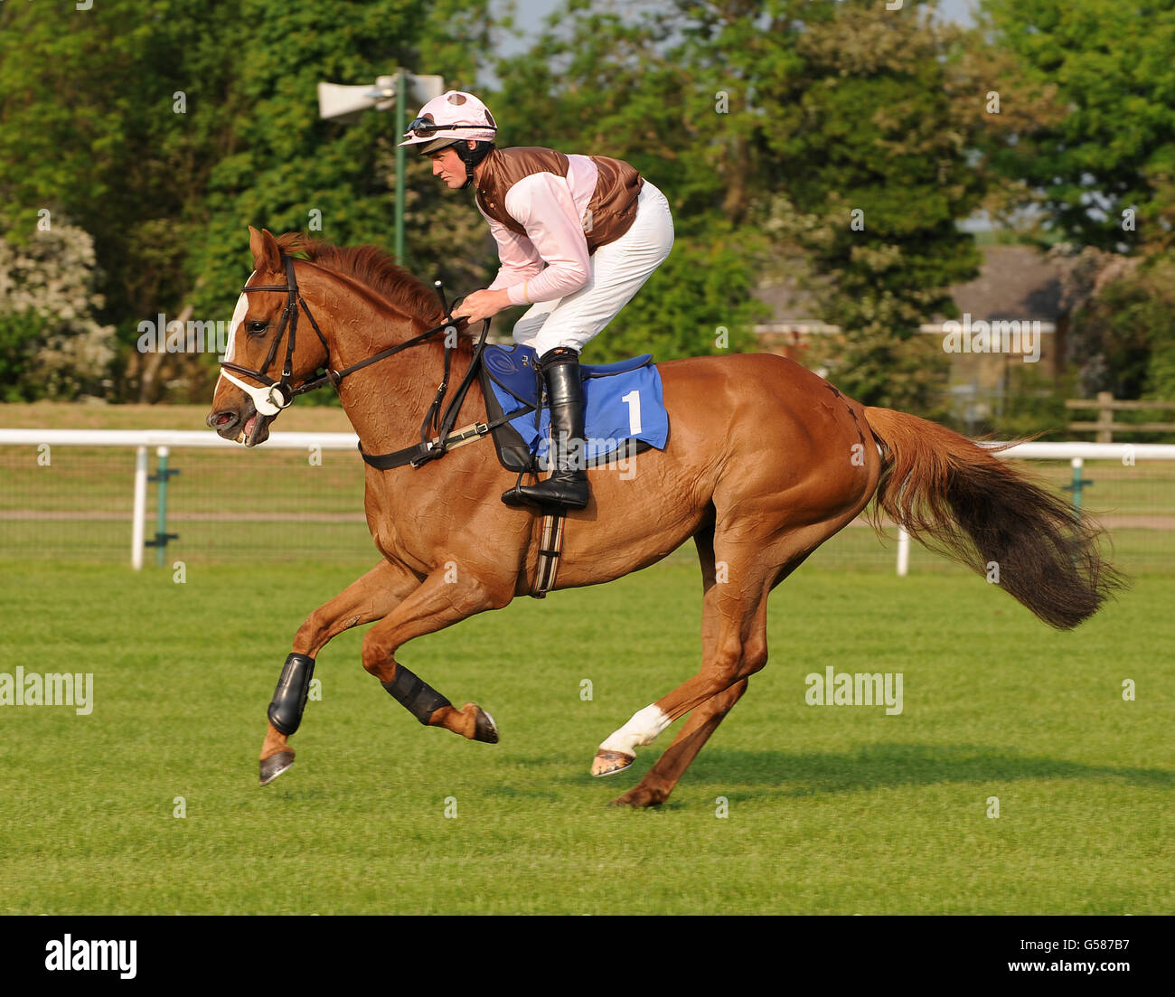 Pferderennen - Ladies Evening - Huntingdon Racecourse. Accessallareas, die von Mr J Mahot in der Verfolgungsjagd der Paul Rackham Champion Novices' Hunters geführt werden Stockfoto