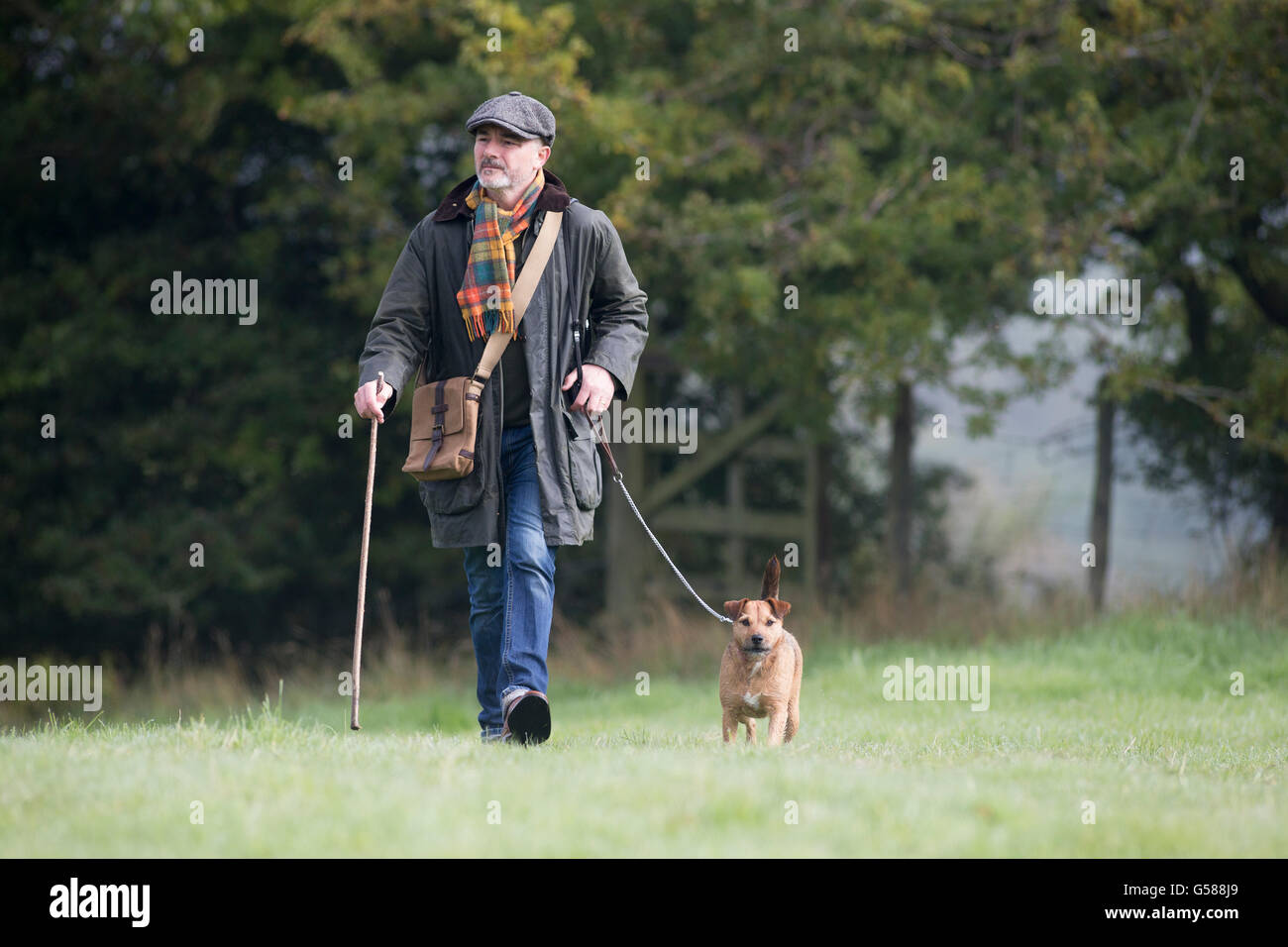 Mann geht seinen Hund im Feld an einem kalten, nebligen Morgen. Stockfoto