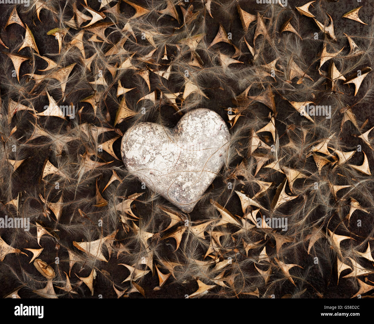 Antik Silber-Effekt Herz umgeben von Rosendornen und Clematis Samen auf braunem Hintergrund rostig Stockfoto
