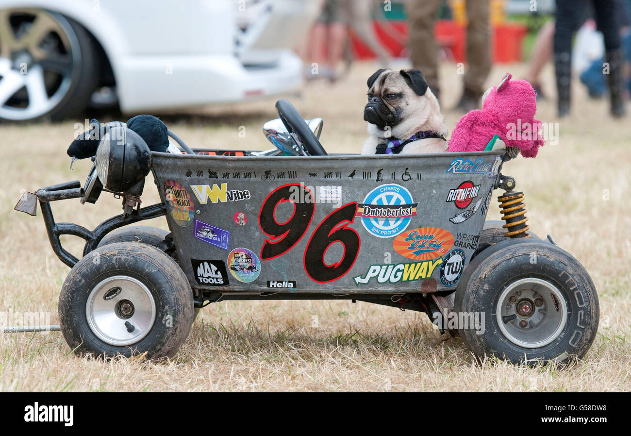 Mops Hund namens Stanley herumfahren Bristol Volkswagen Festival in  Somerset, England am Wochenende in seinem eigenen speziell Transportmittel  Stockfotografie - Alamy