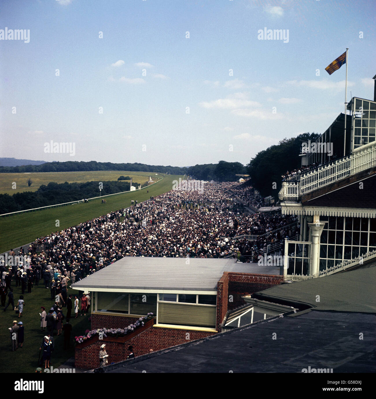 Gesamtansicht der Goodwood Racecourse mit der Royal Box im Vordergrund. Stockfoto