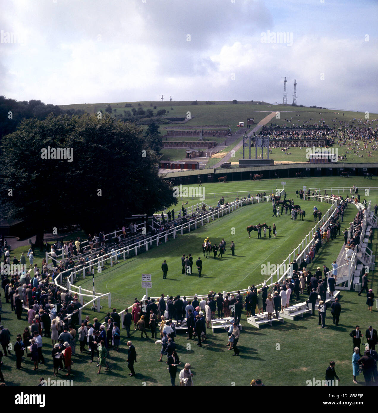 Pferderennen - Goodwood Rennbahn Stockfoto