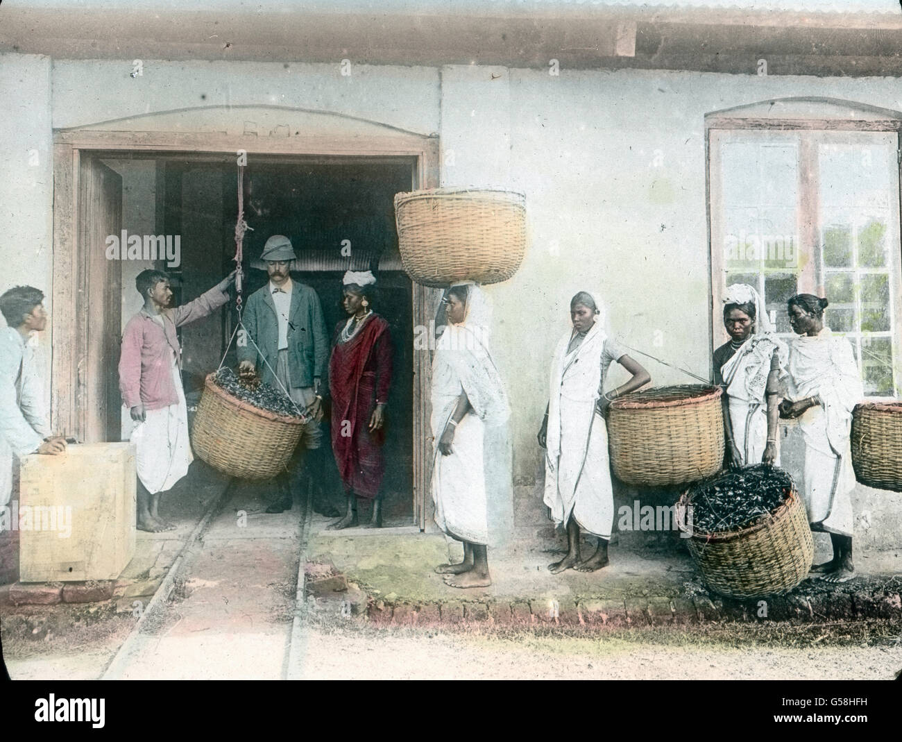 The Workers bring the geerntetet Tee to abwiegestelle. Indien, Asien, Reisen, Indianer, Arbeit, Arbeit, ländliche, native, Plantage, Assam, Haus, Wiegen, Geschichte, historisch, 1910er, 20. Jahrhundert, Archiv, Carl Simon, handkolorierte Glasschiebe Stockfoto